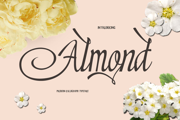 Almond: A Thoughtful Script Typeface for Editorial Warmth