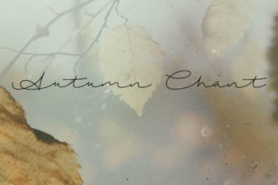 Autumn Chant: A Warm, Polished Script Font for Small Business Branding