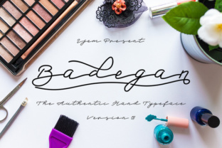 Badegan Script: A Designer’s Real-World Review