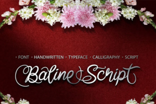 Baline Script: A Polished, Playful Display Font for Digital Brands