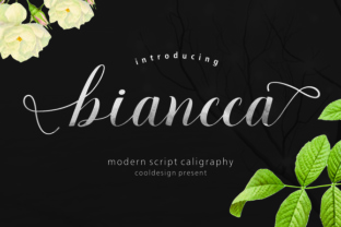 Biancca Script: A Modern Script Typeface That Cuts Through the Feed