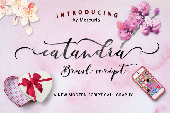 Catandra Script: A Modern Script Font for Scroll-Stopping Marketing
