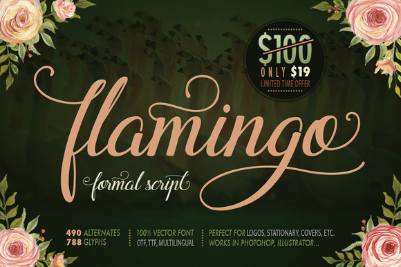 Flamingo: A Handcrafted Script Font That Elevates Campaign Visuals