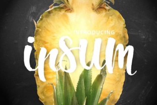 Ipsum Script: A Modern Brush Script Font for Digital Branding