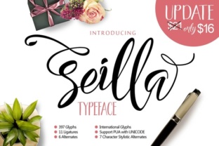 Seilla Script: A Designer’s Real-World Review