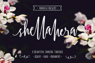 Shellahera Script: A Handwritten Font That Feels Like Your Brand’s True Voice