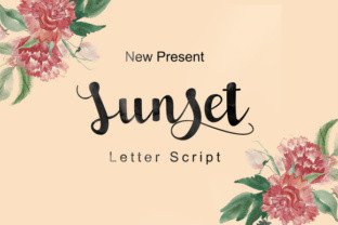 Sunset Script: The Feminine Headline Font That Makes Your Campaign Pop