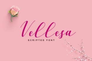 Vellesa Script: A Refined Handwritten Font for Digital Branding